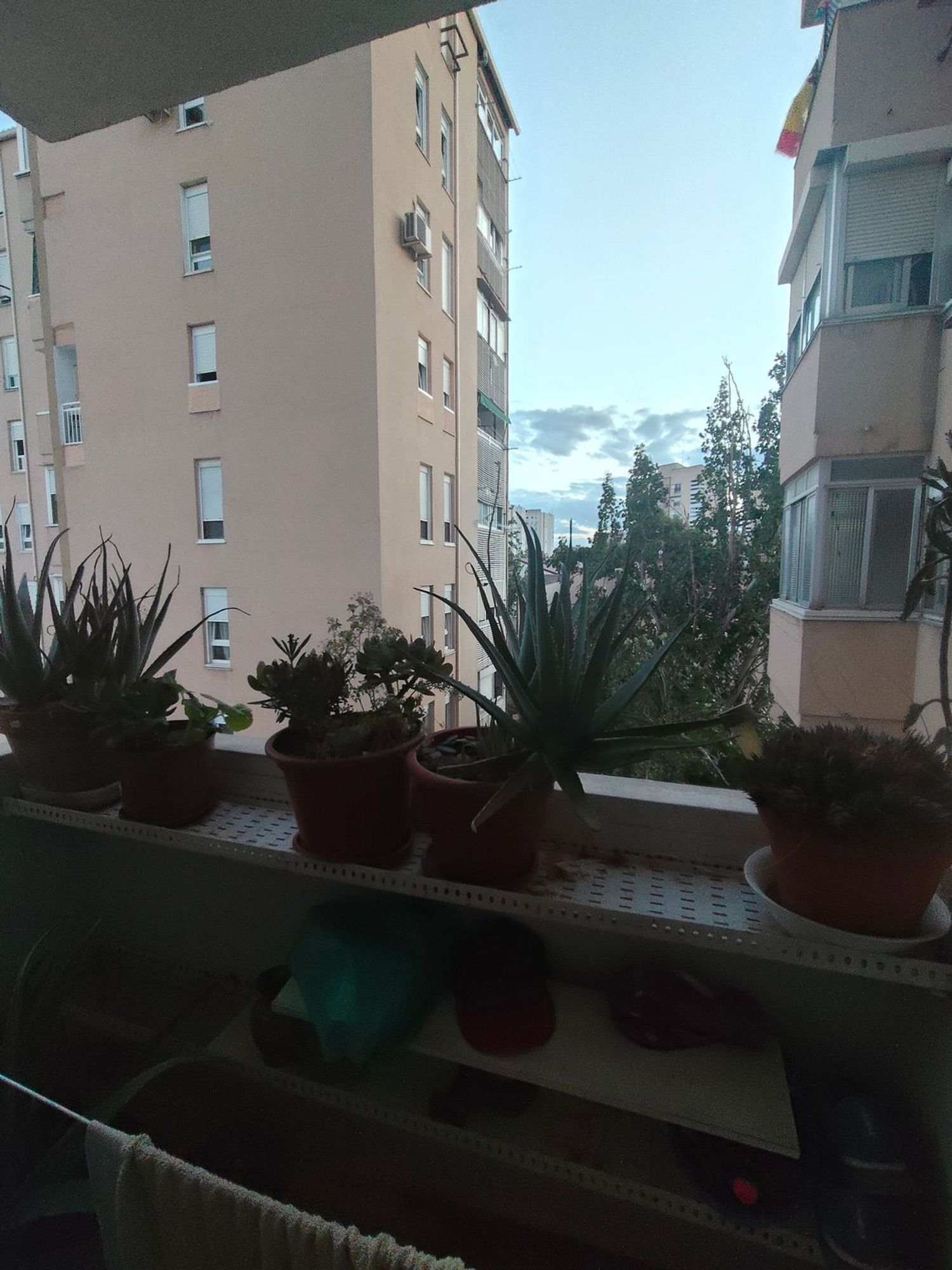Piso en Arcos, Arcos - Foto 14
