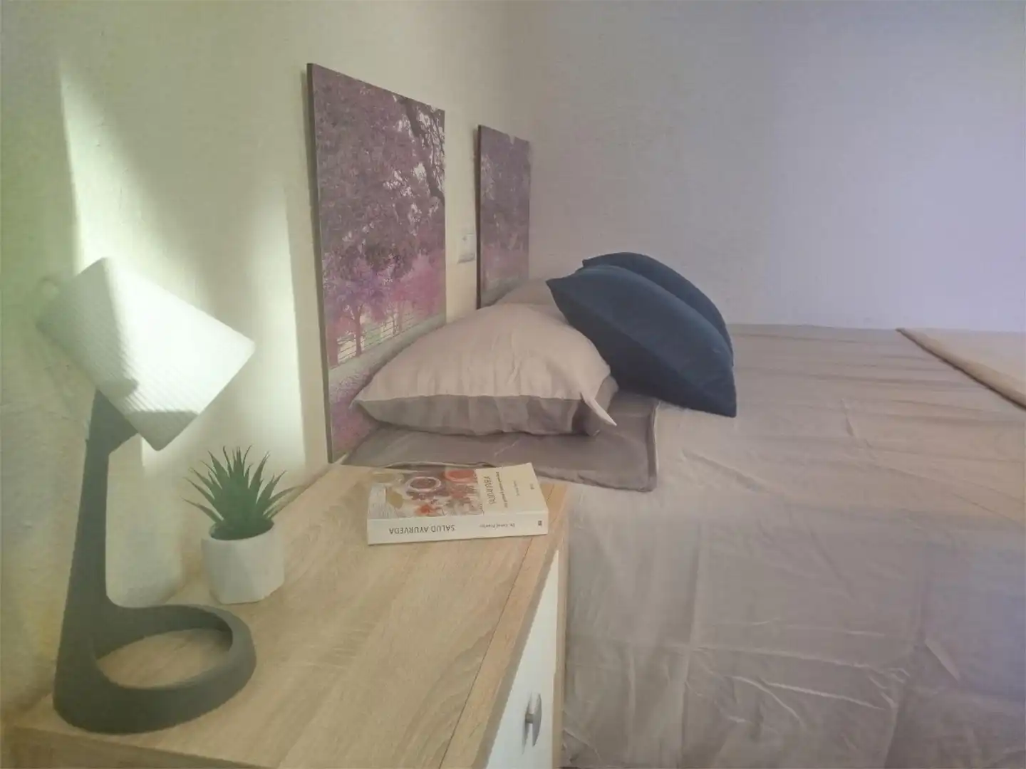 Piso en  Calle Periodista Luis de Vicente 9 - Foto 29