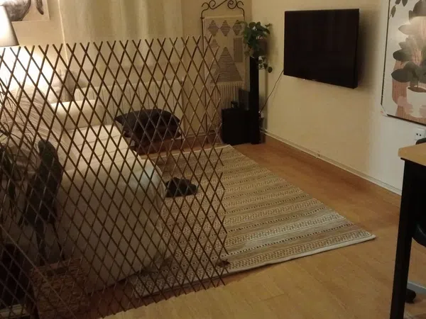 Estudio en mare de deu dels Àngels, 49 - Foto 3