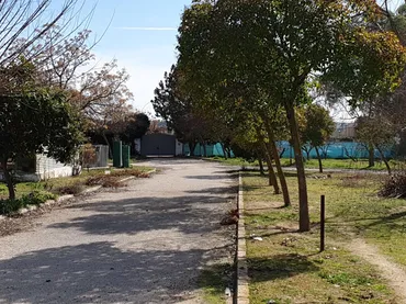 Finca rústica en  Urbanización las Encinas 12A - Foto 6