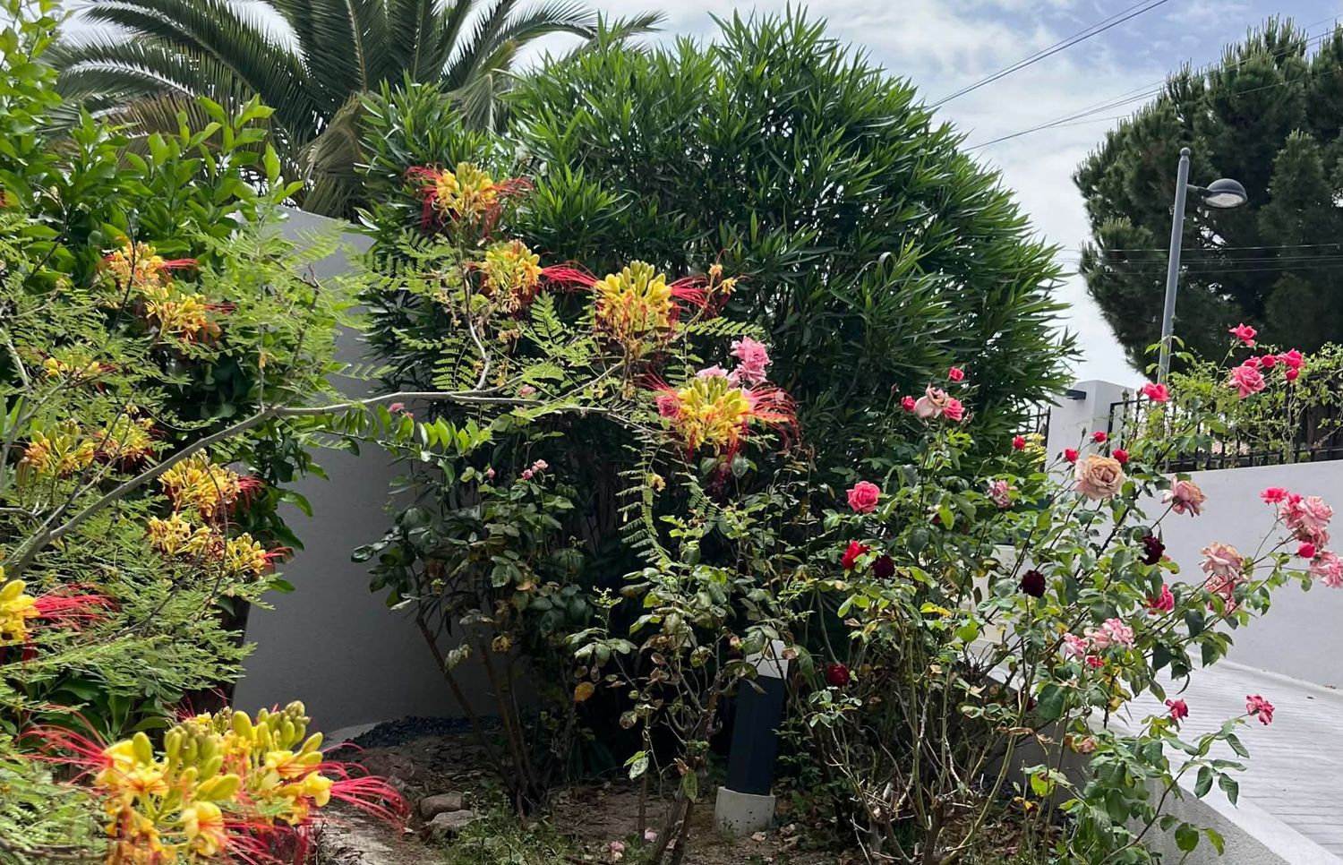 Casa independiente en Urb. bonanza Bonanza - Foto 30