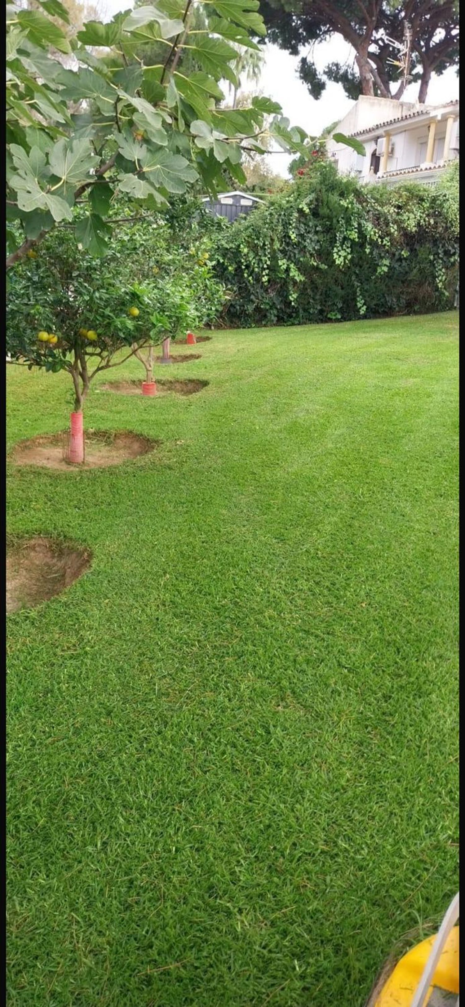 Chalet adosado en Calle Joaquín Rodrigo, 13, Hacienda Elviria - Foto 28