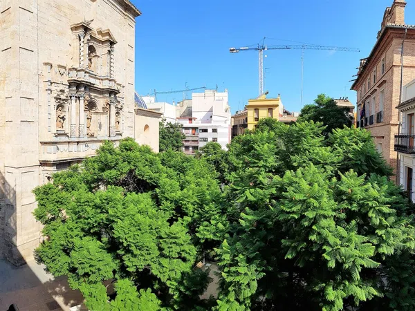 Dúplex en Plaza del Carmen, El Carme - Foto 6