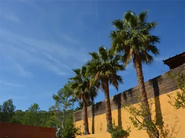 Chalet en  Carrer de l'Ebre 15 - Foto 4