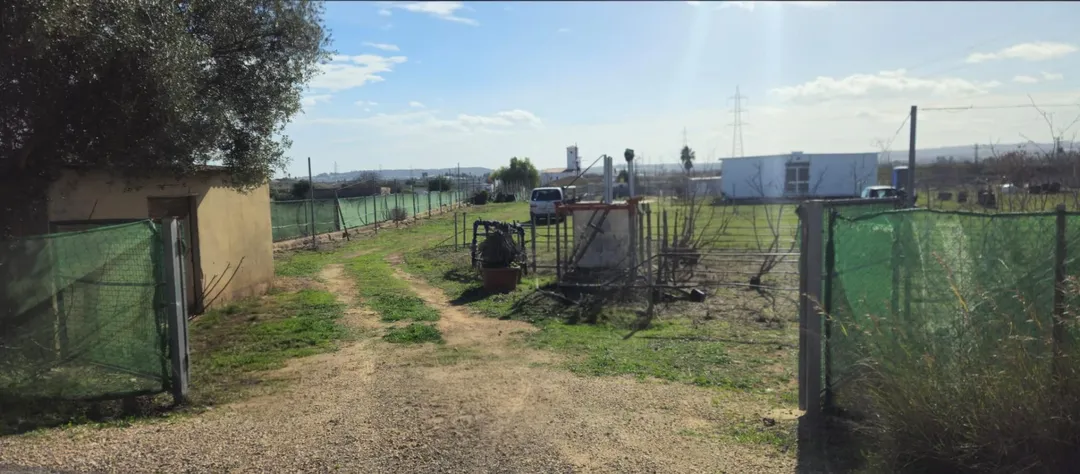 Finca rústica en avenida Avinguda del Cid 112 - Foto 10