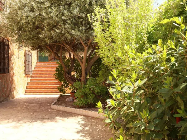 Casa o chalet independiente en Avenida del Madroño, 1, Buenavista-Valparaíso-La Legua, Buenavista-Valparaíso-La Legua - Foto 16