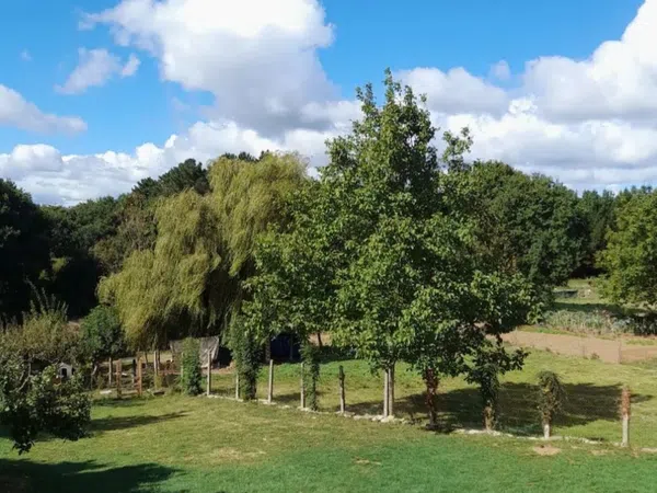 Casa o chalet independiente en Castelo de Arriba, 73 - Foto 6