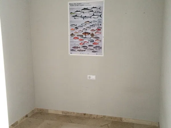 Piso en Persefone s/n, Jardines de Hércules - Foto 7
