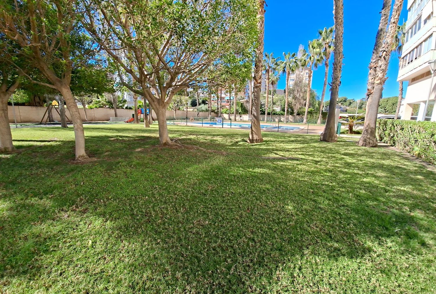 Ático en Barrio La Albufereta - Foto 2