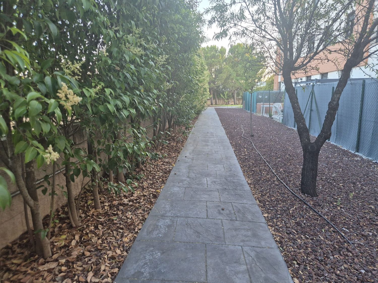 Piso en Camino el Olivar, 25, Las Sedas - El Olivar, Las Sedas - El Olivar - Foto 35