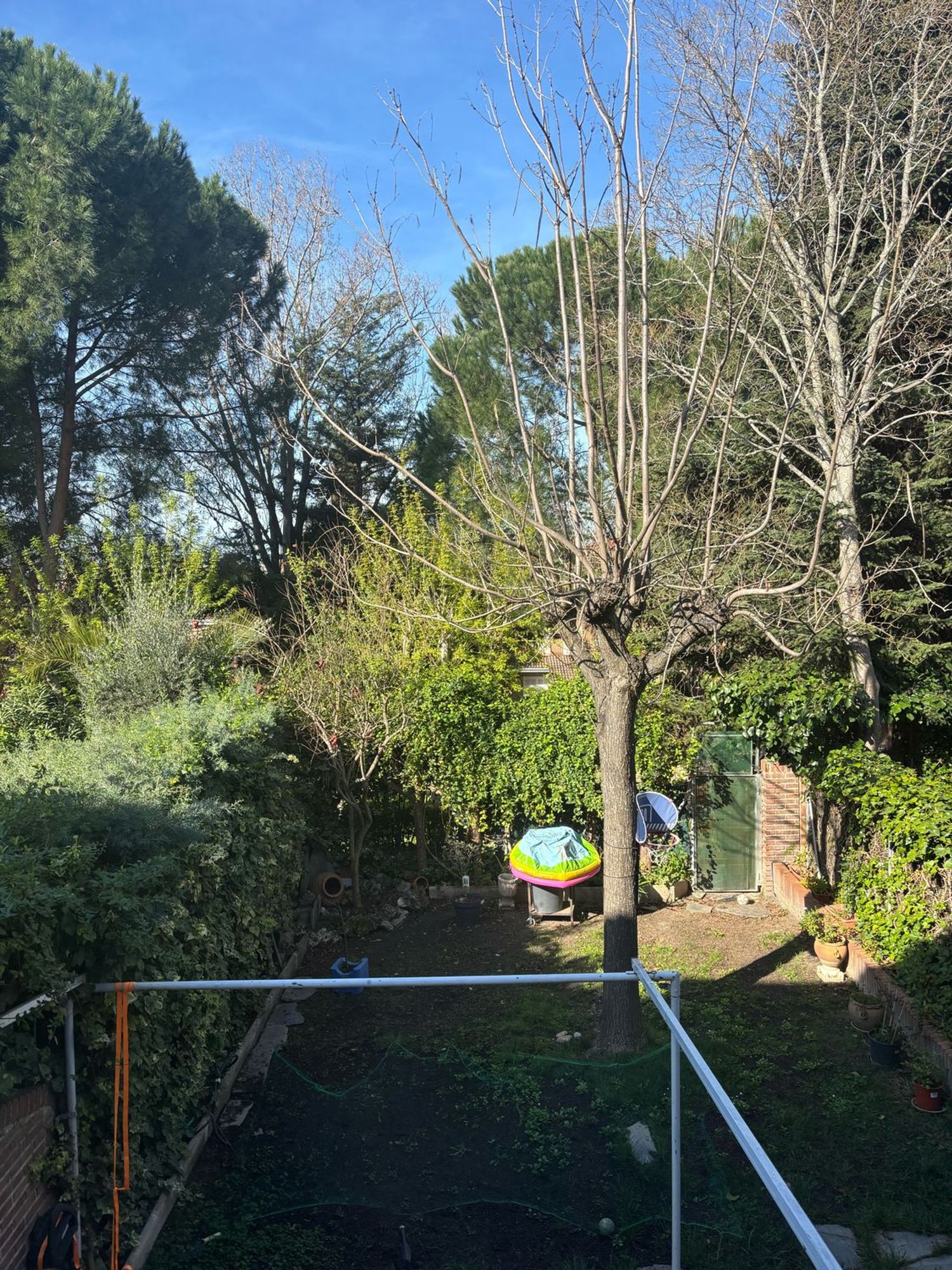 Chalet adosado en Barrio El Pinar- Punta Galea - Foto 24