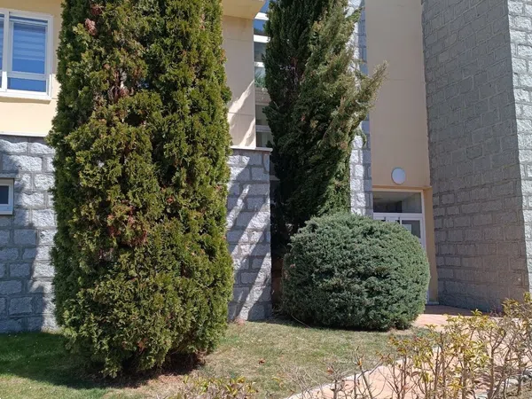 Piso en Avenida Coto San Isidro, 4 - Foto 4