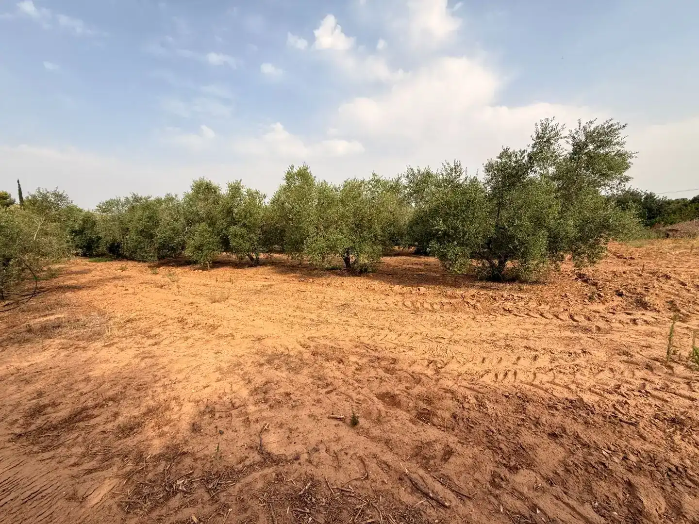 Finca rústica en  Camí de Sant Joan 1 - Foto 11