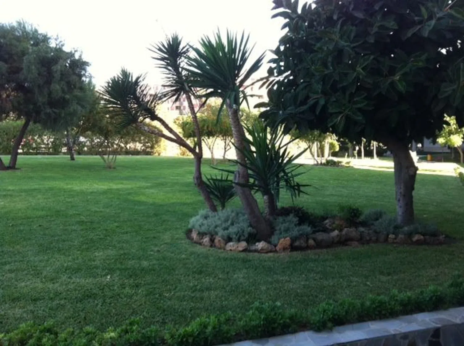 Piso en avenida Jenofonte, 3 - Foto 1