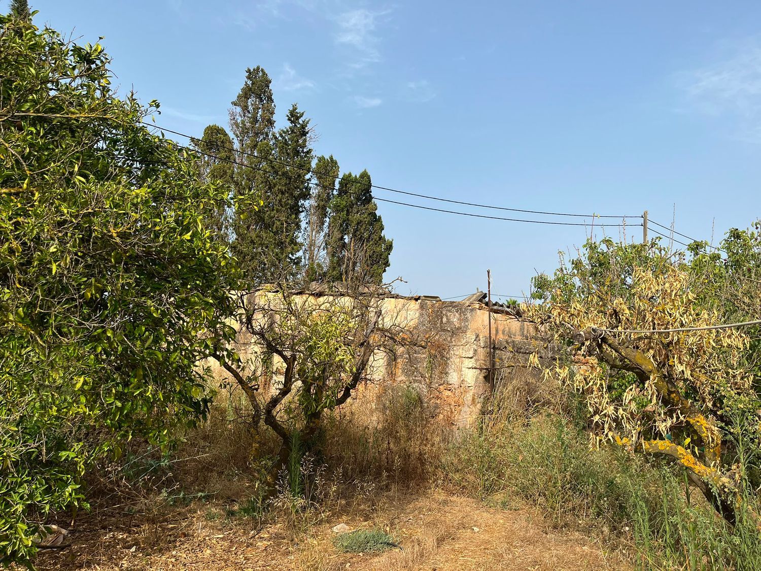 Casa o chalet independiente en Poligono 7, 328 Parcela, Zona periurbana, Zona periurbana - Foto 14