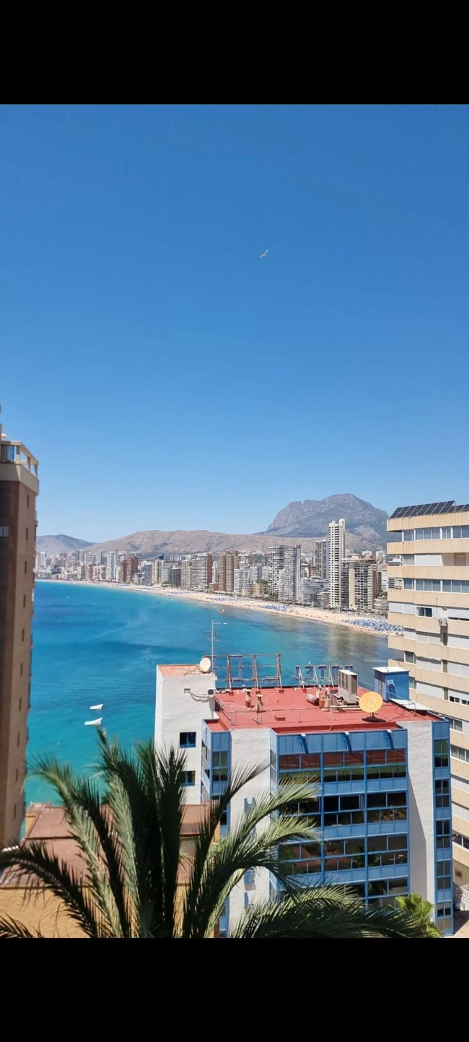 Estudio en calle Alcalde Manuel Catalán Chana, 9 - Foto 6