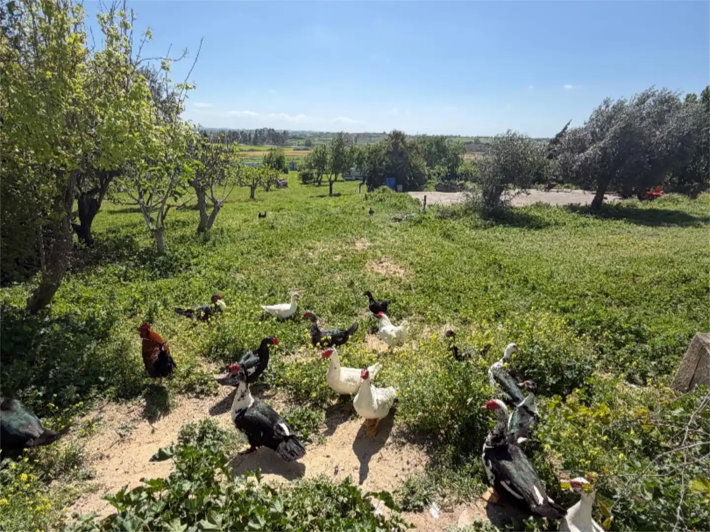 Chalet en  Diseminado Pago Victoria 328 - Foto 14