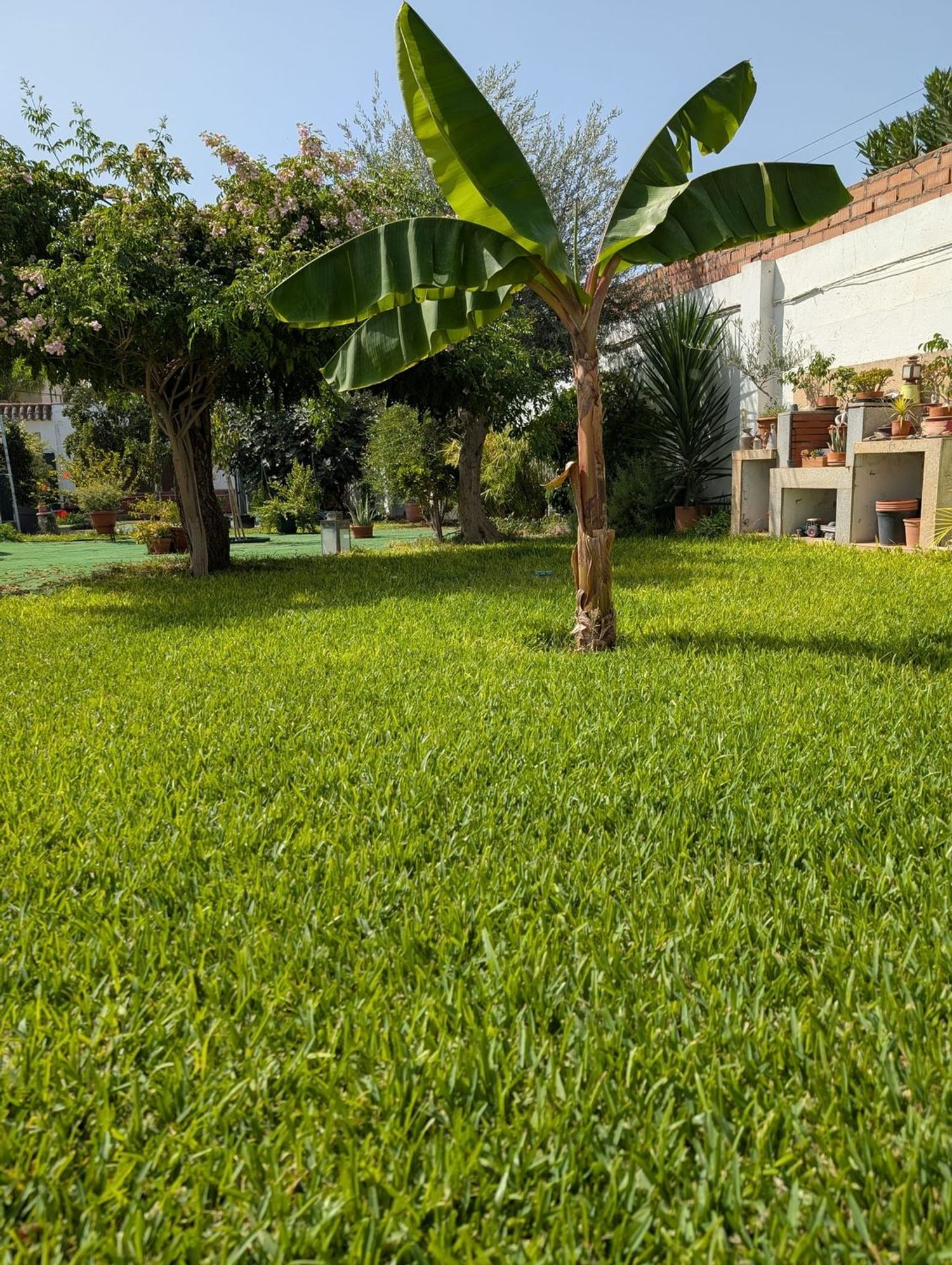 Casa o chalet independiente en Urb. Las Luisas, 30, La Hacienda - Nueva Andalucía, La Hacienda - Nueva Andalucía - Foto 12