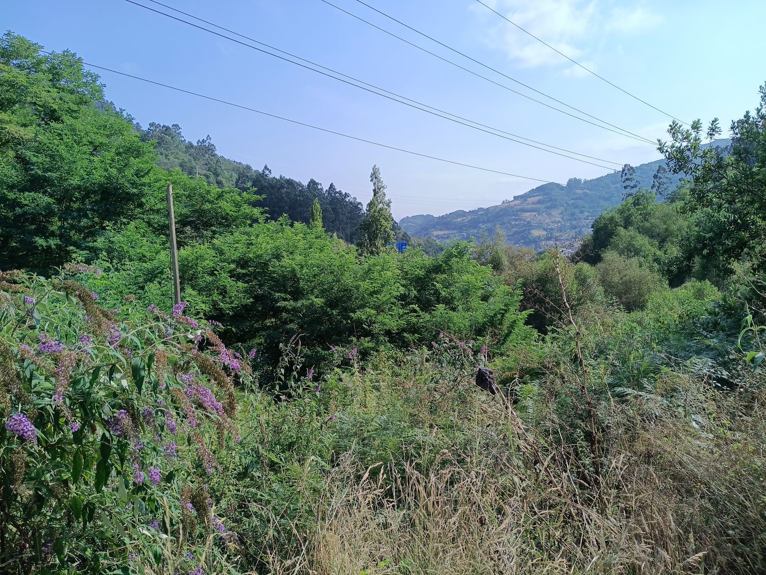 Piso en El Tarronal, 26, San Pedro - Siana, San Pedro - Siana - Foto 31