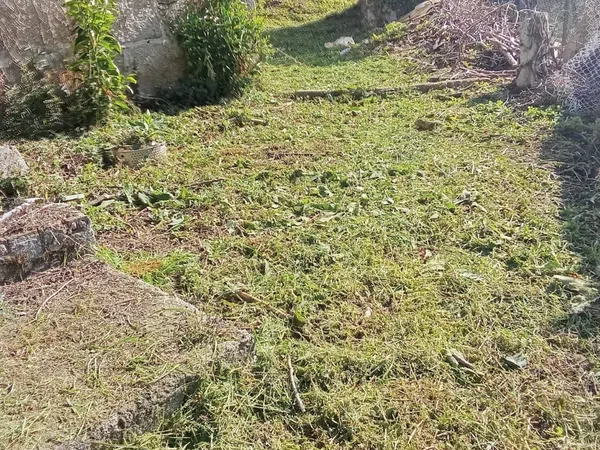 Casa rural en Instrumento, 4 - Foto 8