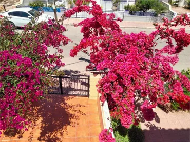 Piso en Calabardina Aguilas - Foto 4
