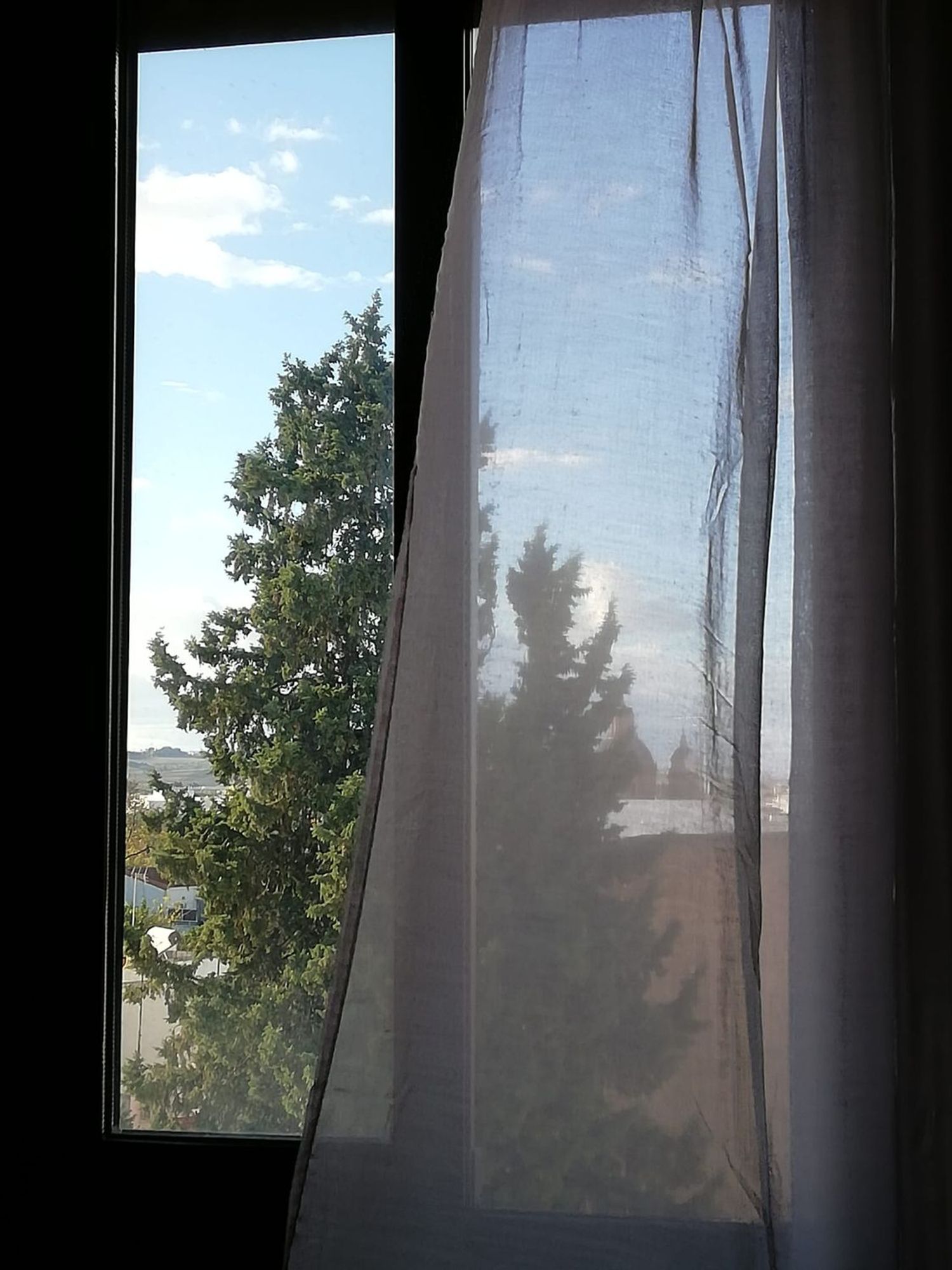 Piso en Barrio Puerta Carmona-Puerta Osario-Amador de los Ríos - Foto 6