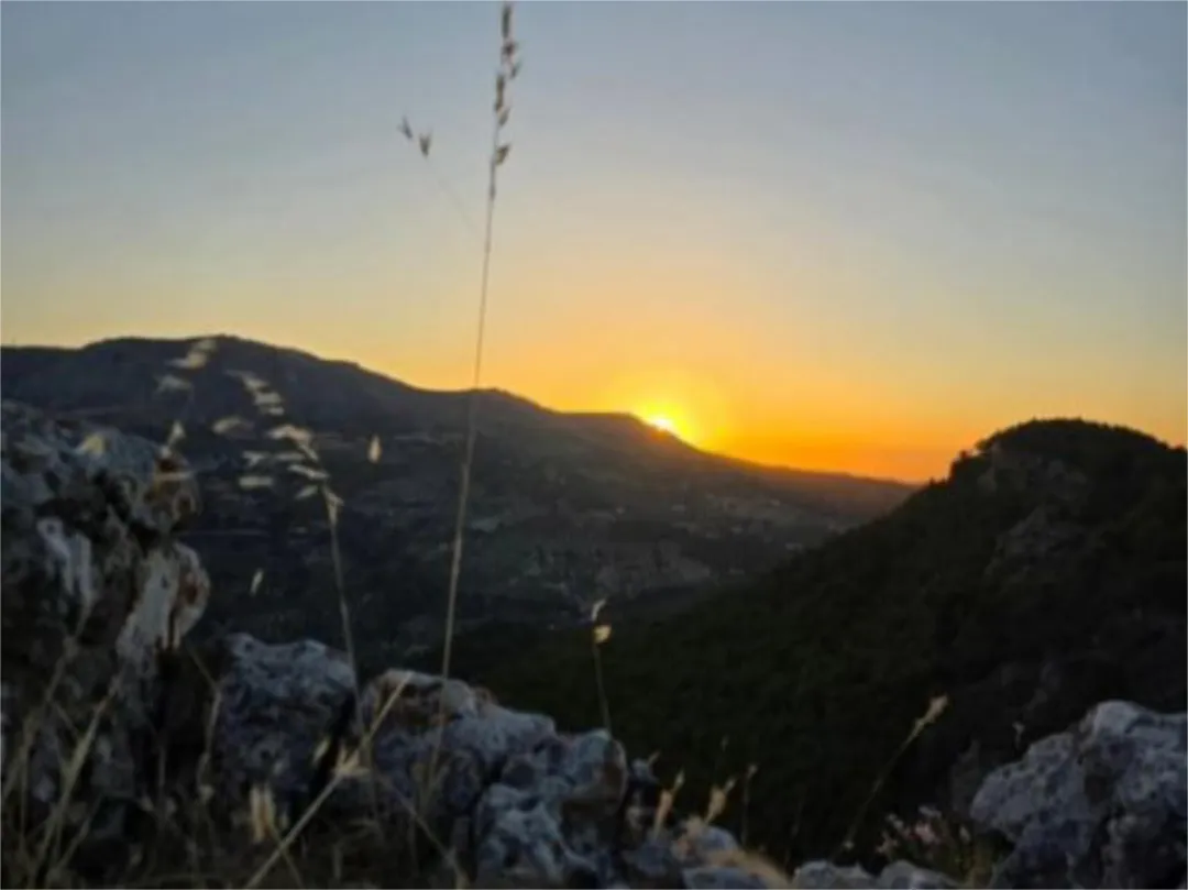 Finca rústica en  Calle García Lorca 34 - Foto 13