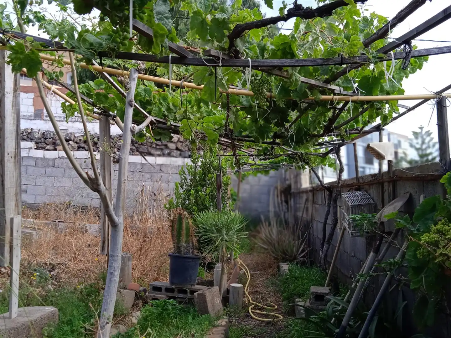 Terreno Urbanizable en  Calle Montaña 8 - Foto 2