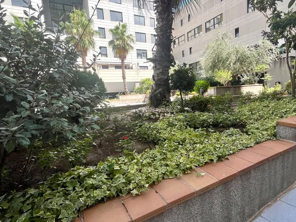 Piso en Avenida de la Constitución, 85, Coslada Pueblo, Coslada Pueblo - Foto 1