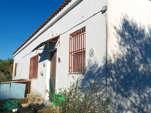 Finca rústica en Diseminados dirección a Puñanilla s/n - Foto 26