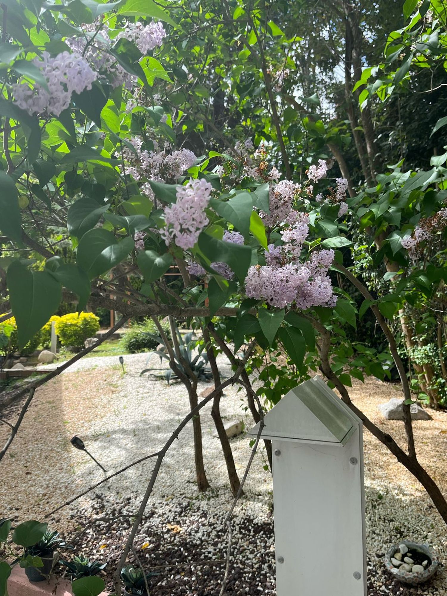Casa independiente en calle de Hoyos del Espino, 17 - Foto 27