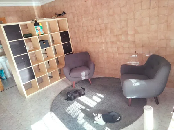 Casa o chalet independiente en Avenida de la Marina, 21 -izquierda - Foto 6