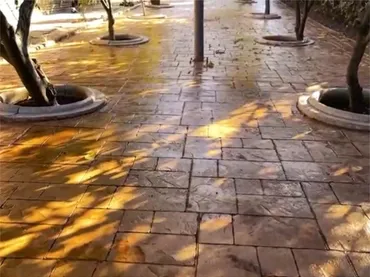 Piso en  Camino Guiral 19 - Foto 7