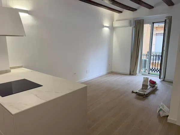 Piso en Calle del Doctor Monserrat, El Botànic - Foto 1