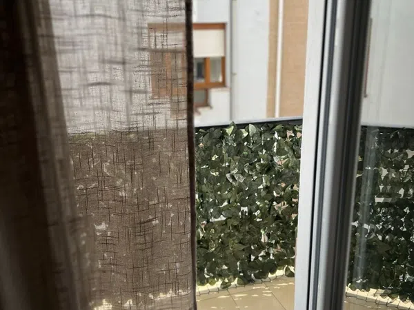 Piso en Paseo Canalejas, 16, Puerto Chico - Foto 12