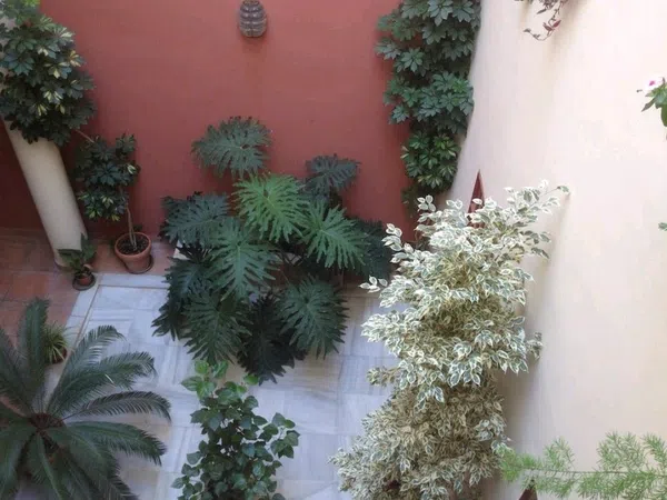 Piso en Alhóndiga, 28, Encarnación-Las Setas - Foto 24