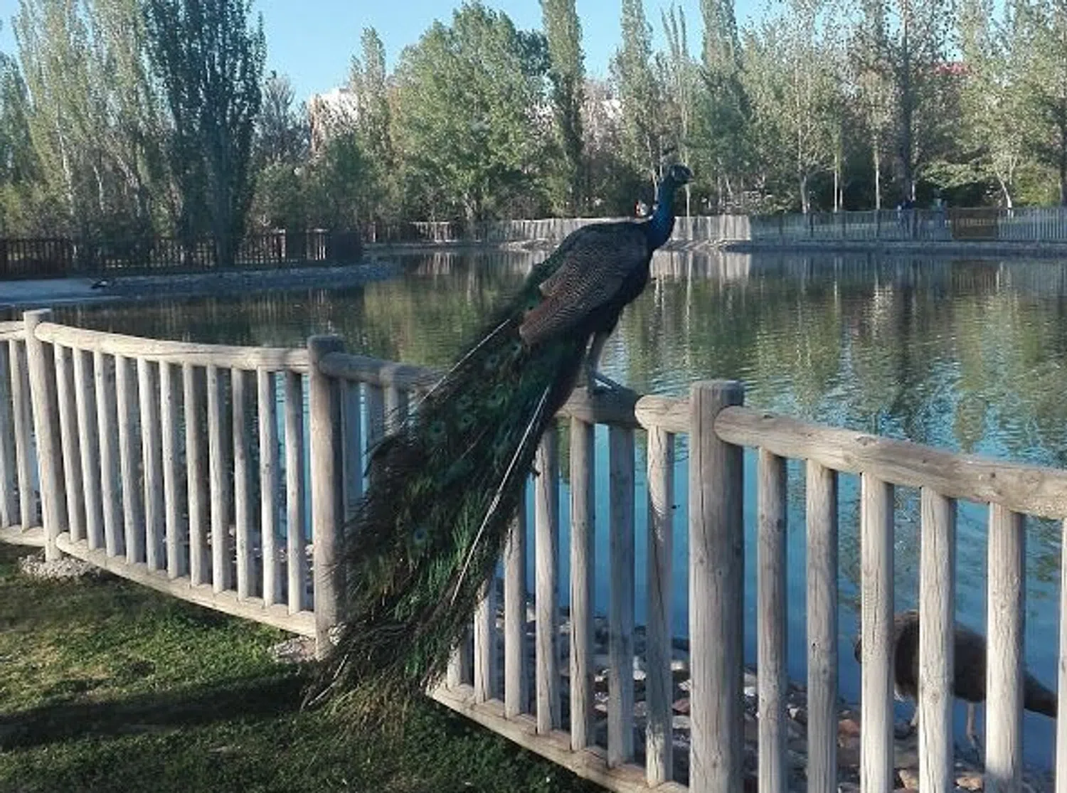 Piso en Loranca - Foto 19