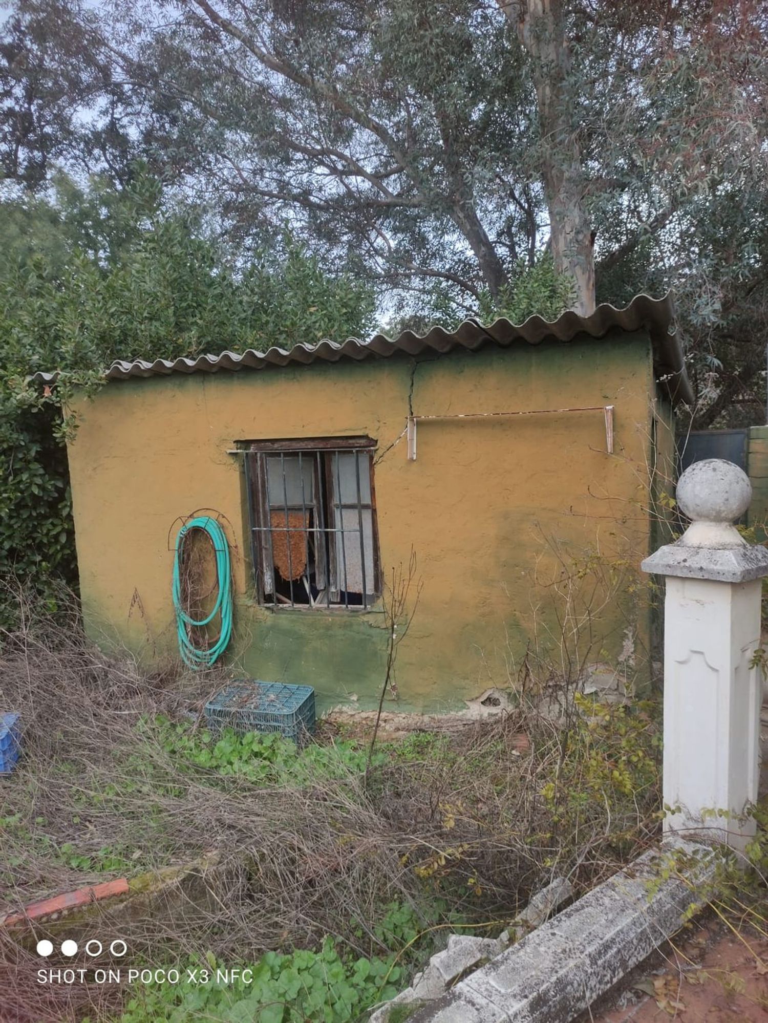Finca rústica en Calle Grimaldo, 15 - Foto 7