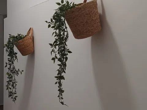 Estudio en plaza de Menéndez Pelayo, 6 - Foto 4