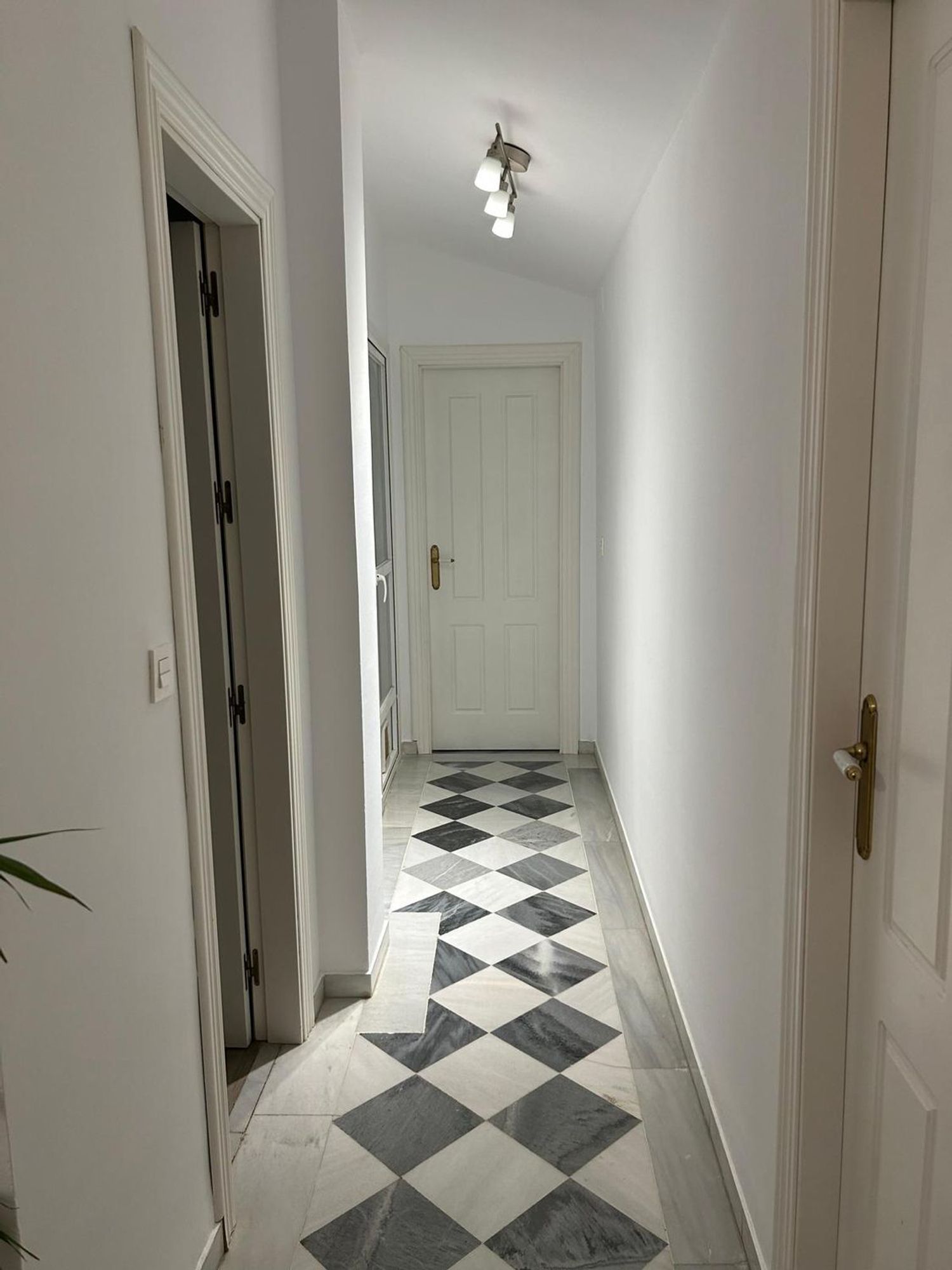 Piso en Calle Duquesa, 21, Jardín Botánico - Foto 12