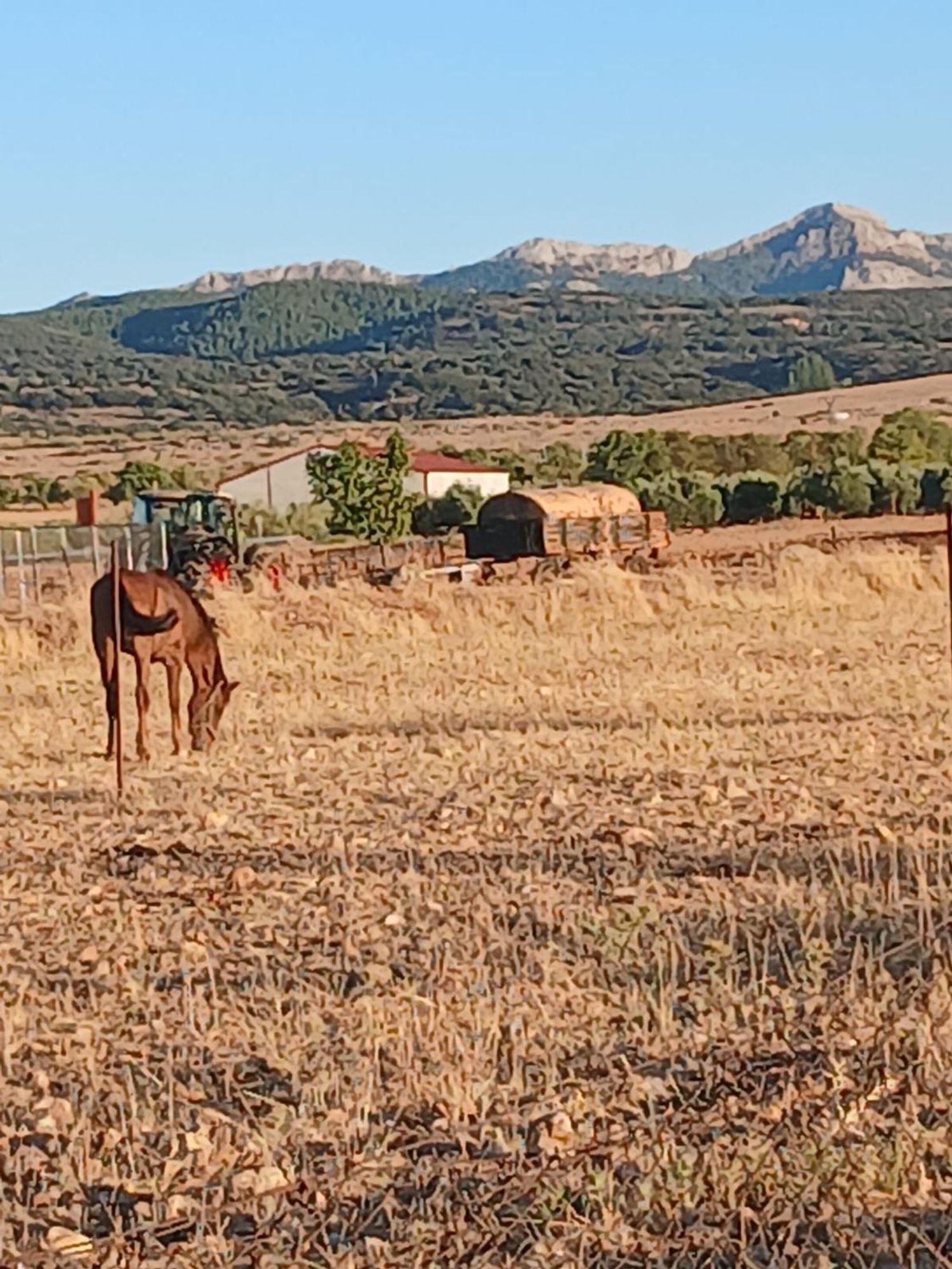Casa rural en Plaza de Cervantes, 3 - Foto 25