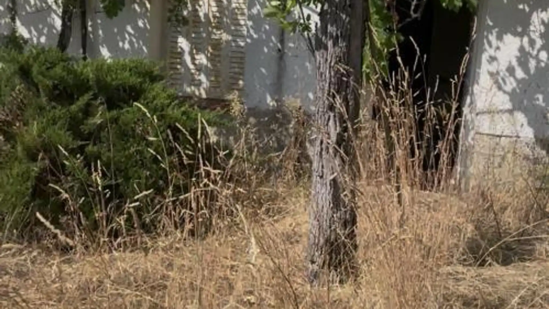 Chalet en  Calle los Robles 5 - Foto 3