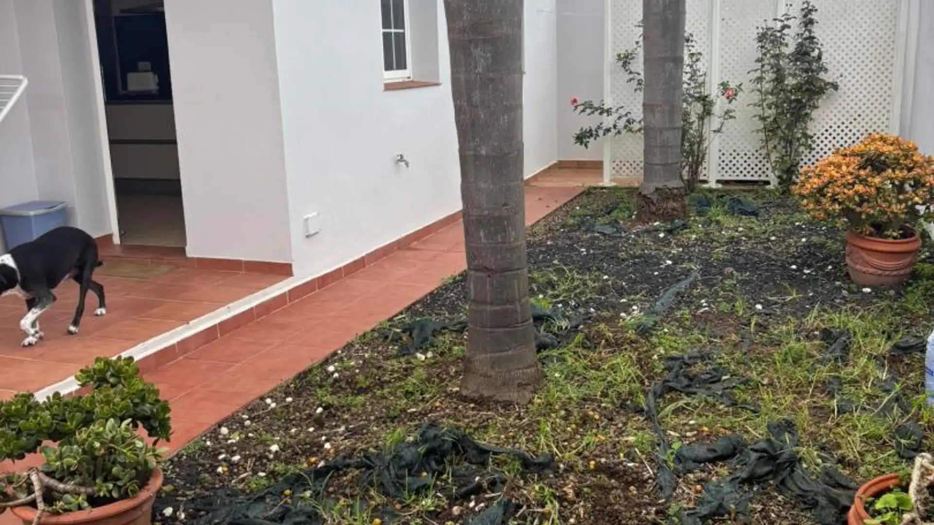 Planta baja en  Calle Suprema 26 - Foto 10