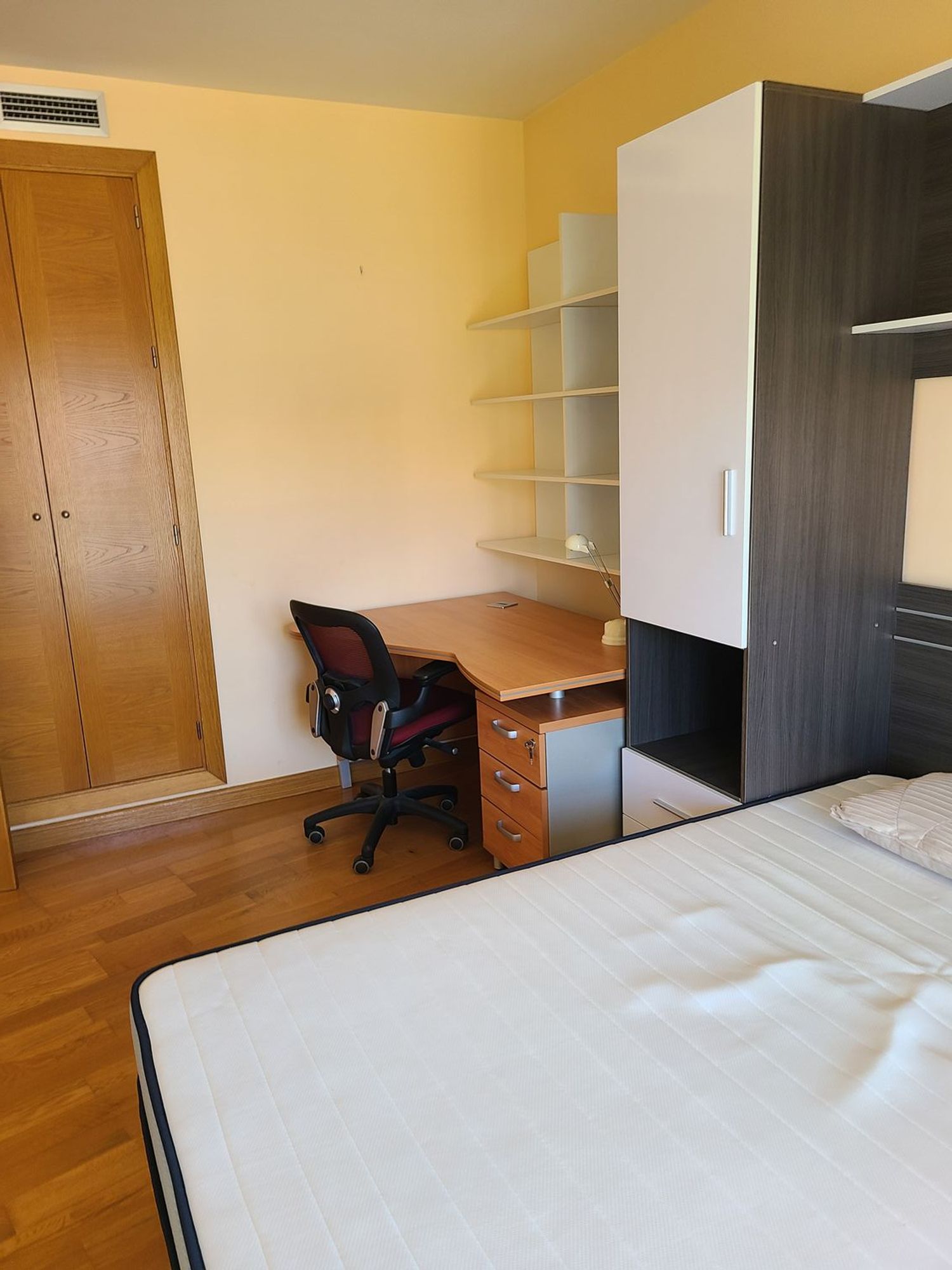 Piso en Paseo Misionero Luis Fontes Servet, 14, Zona Juan Carlos I - Avenida de Europa - Foto 15