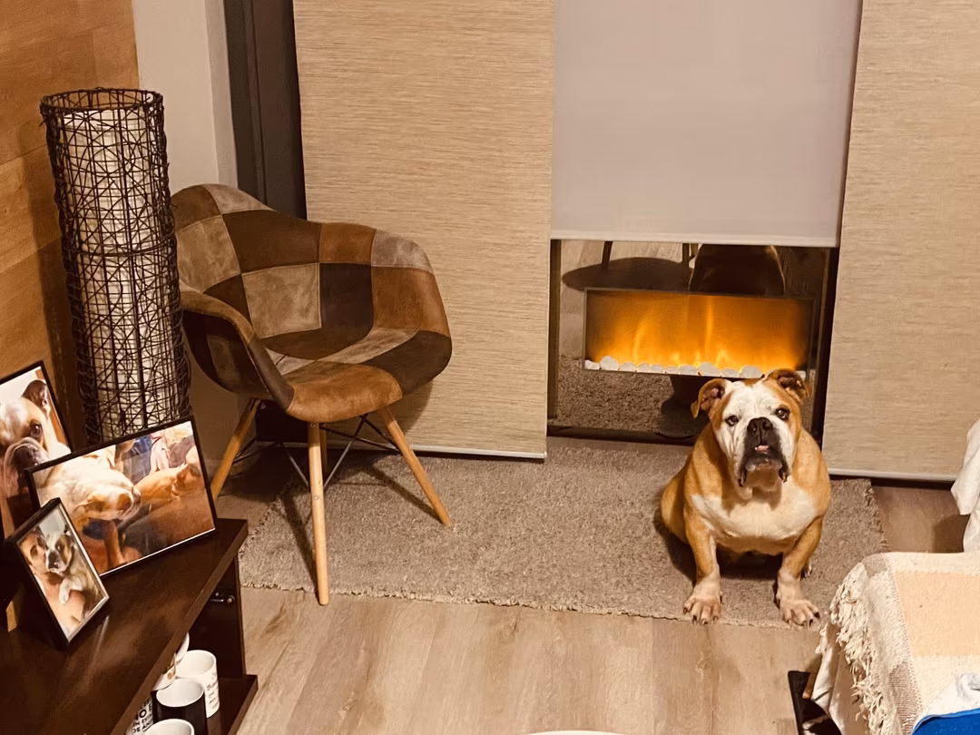 Piso en  N-620 48 - Foto 6