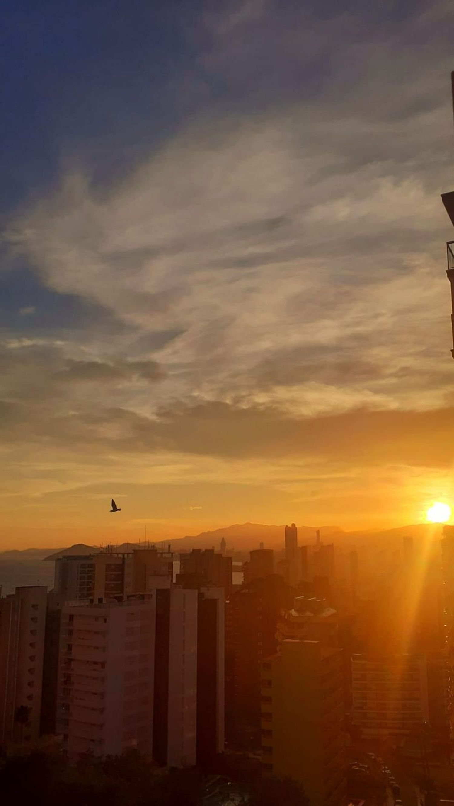 Piso en avenida de Montecarlo, 8 - Foto 23