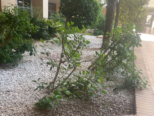 Piso en Avenida de França, 1 - Foto 20