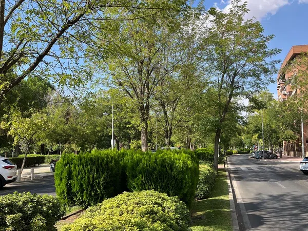 Piso en avenida de los Descubrimientos, 4