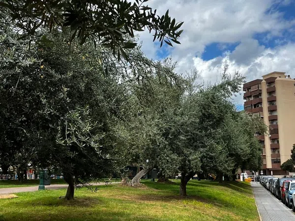 Piso en Calle Martínez Maldonado, 74 - Foto 16