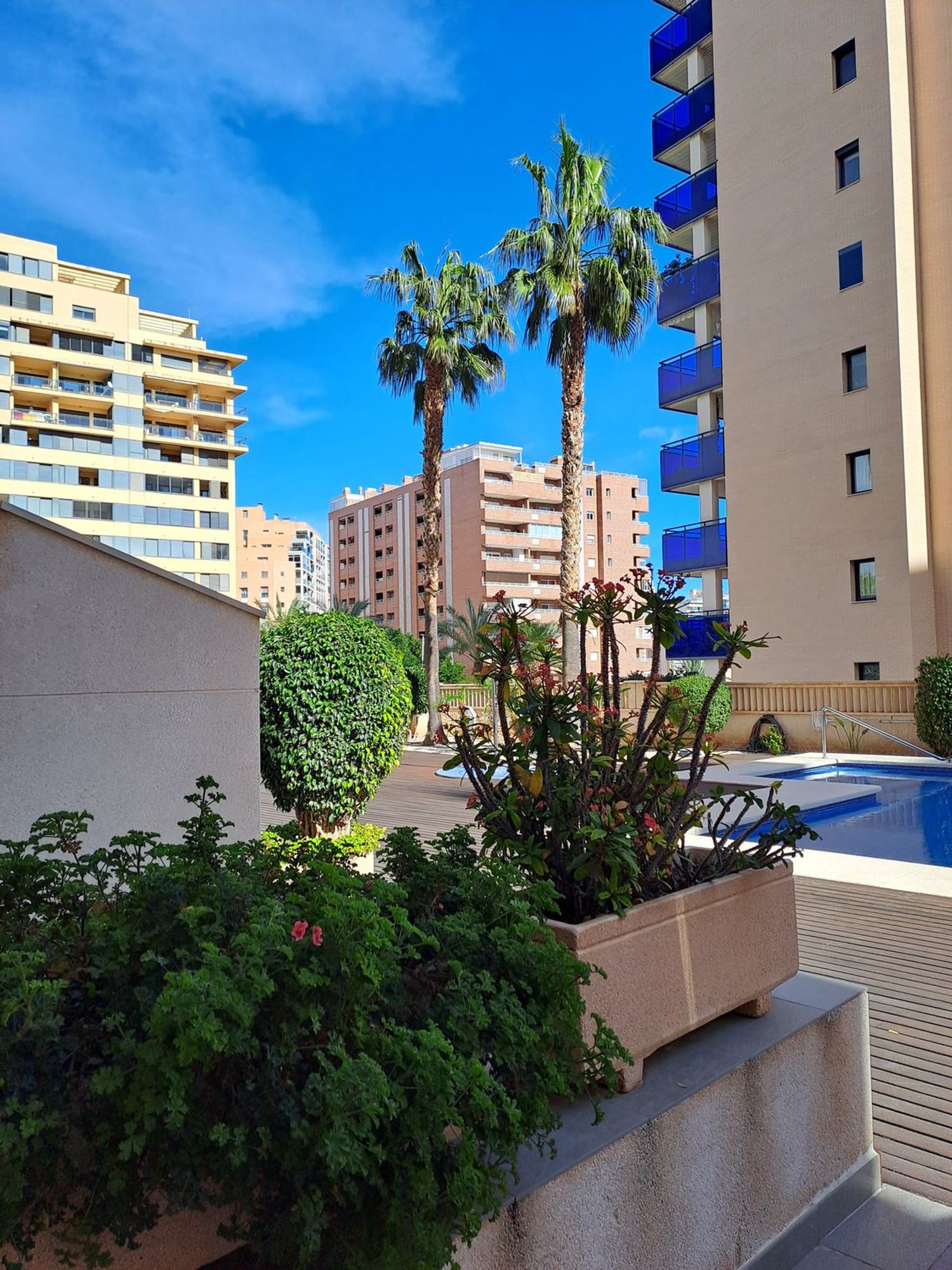 Piso en Avenida Mestral, 4, Cala Alta - Veramar - Foto 15